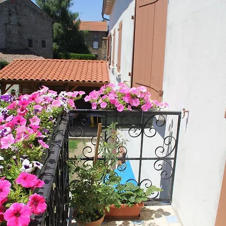 La Maison Des Chats Saint-Mary-le-Plain